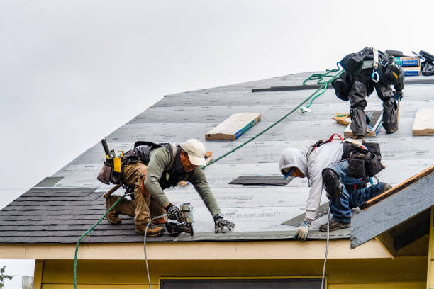 Professional Roof Inspection technician working in West Bridgewater, MA